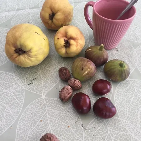 Σπίτι διακοπών Fuege Vendeghaz Csopak